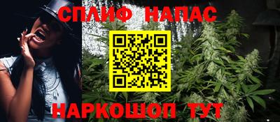 дмт Новозыбков