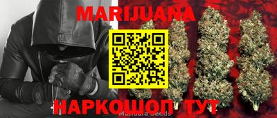 дмт Новозыбков