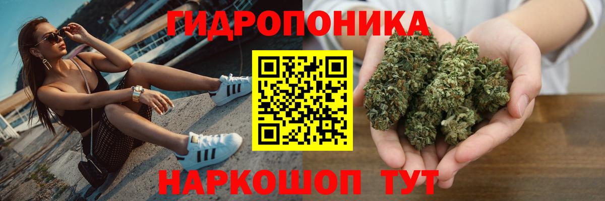 Фролово  Каннабис Amnesia  Марихуана SATIVA & INDICA  Вход с VPN  Конопля семена  МАРИХУАНА планчик 